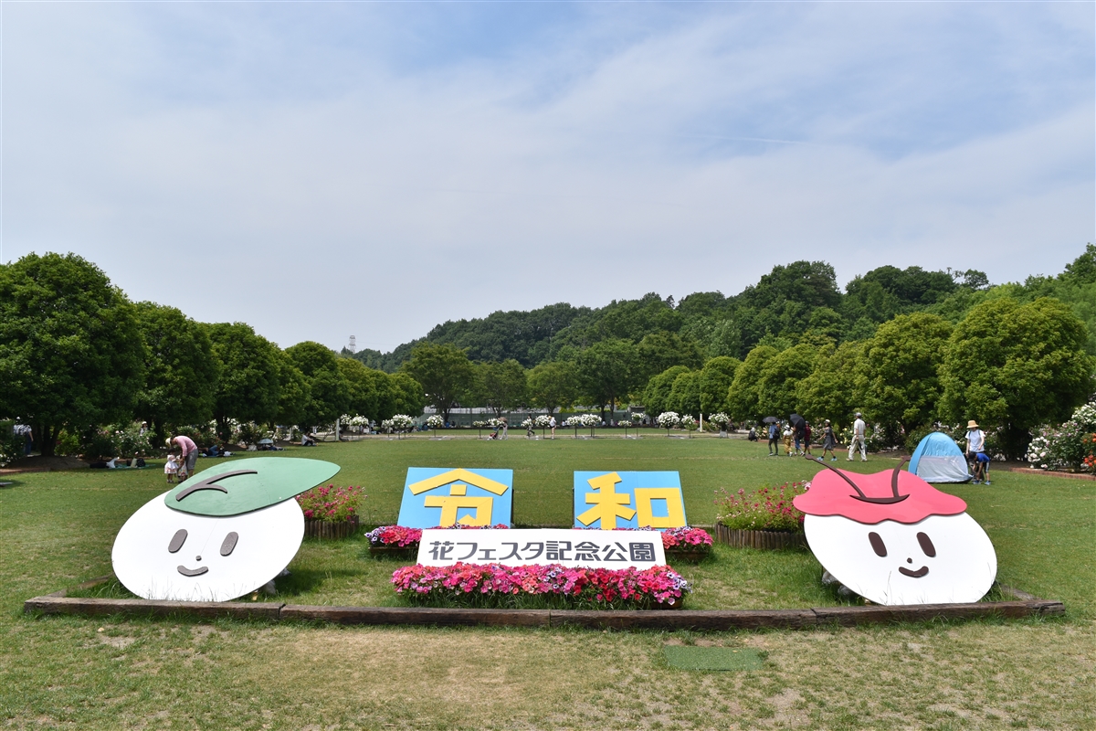 花フェスタ記念公園
